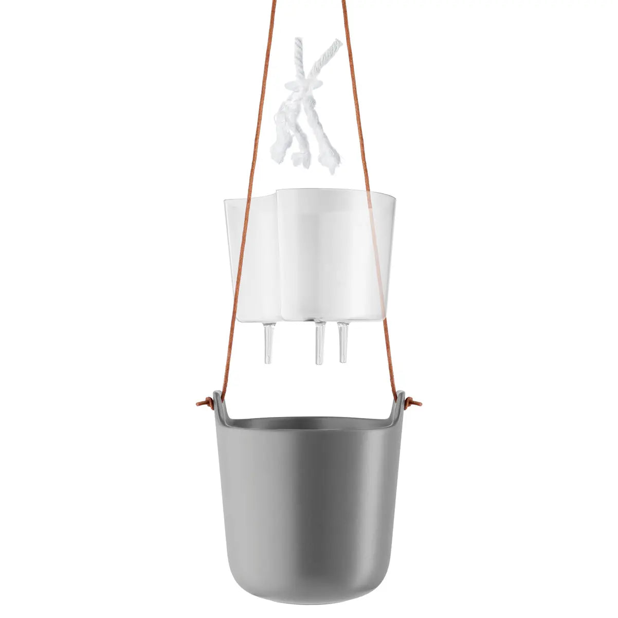 Hanging Planter - Green Thumb Haven