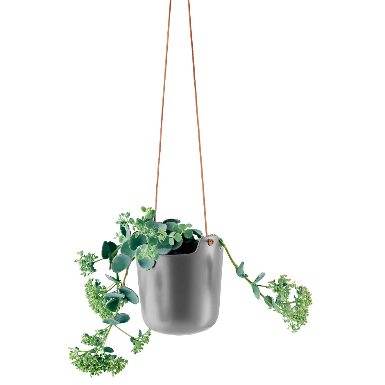 Hanging Planter - Green Thumb Haven