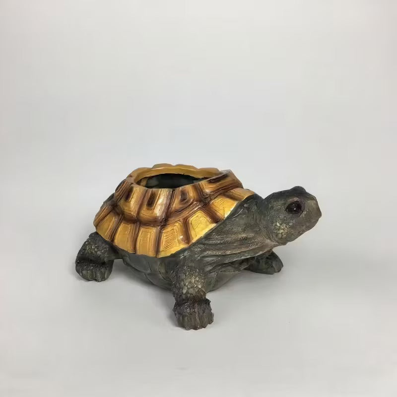 Tortoise-shaped container on a white background