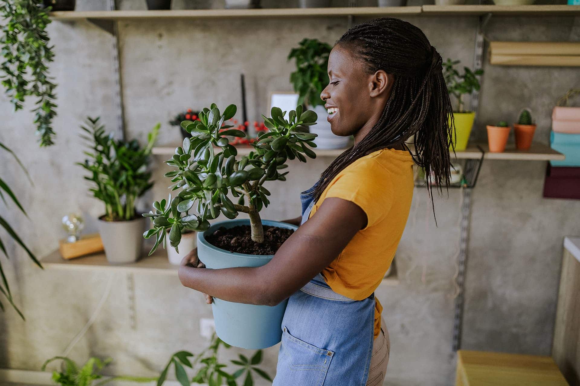 Worker carrying a large plant- Green Thumb Haven
