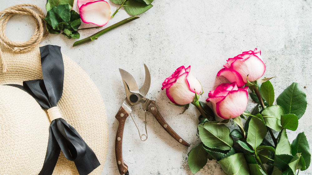 How to Propagate a Rose