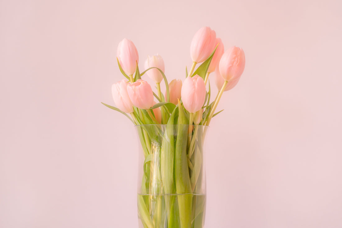 How to Take Care of Tulips Green Thumb Haven