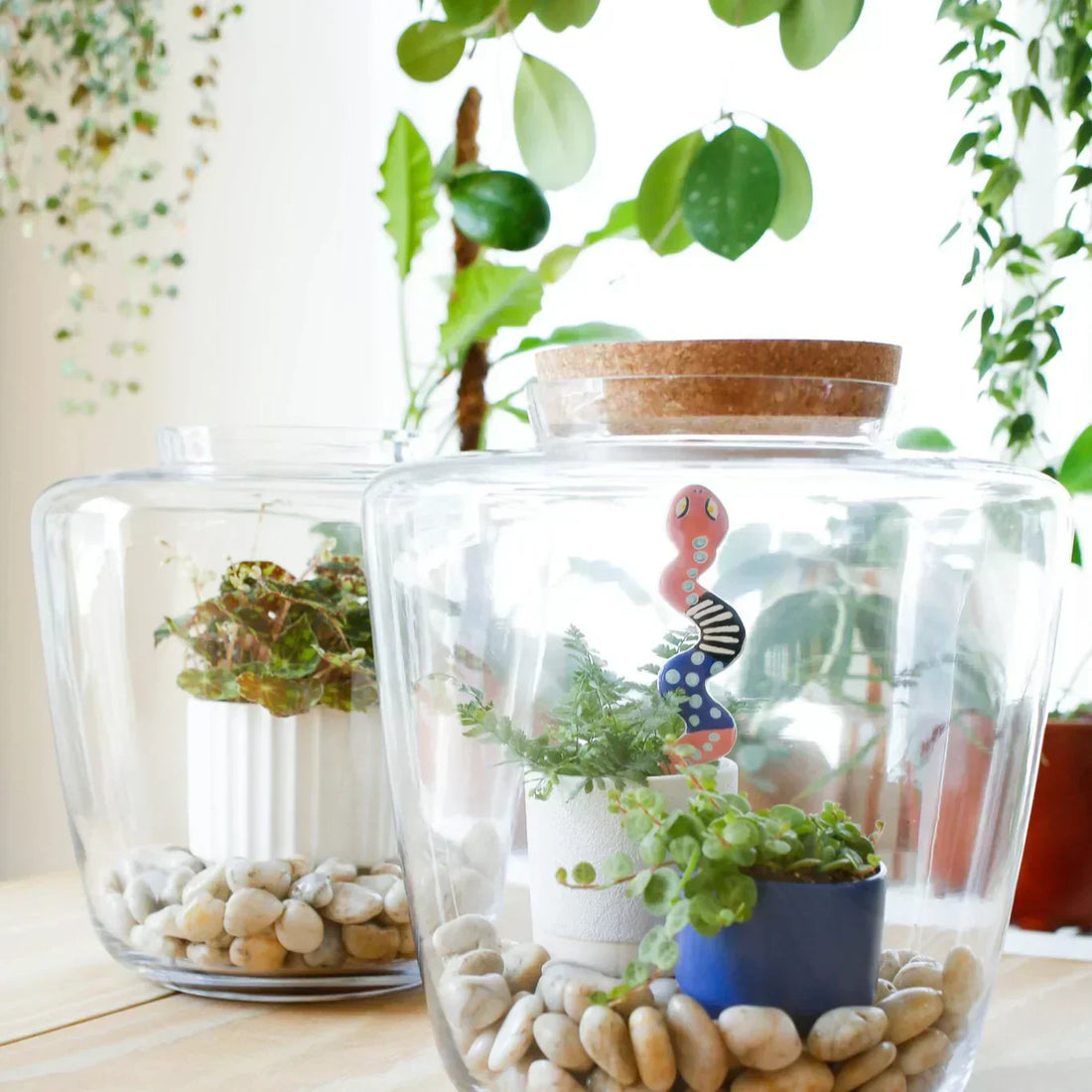 Create Your Own Mini Garden: DIY Plant Terrarium