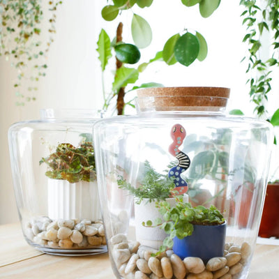 DIY Plant Terrarium: How to Create Your Own Miniature Garden