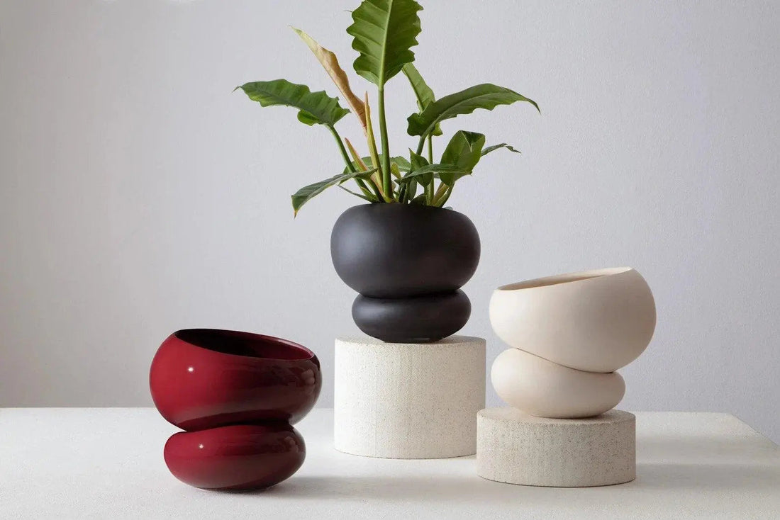 Self Watering Planter Benefits: Improve Indoor Plant Care Easily