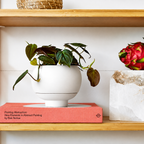 A white ceramic planter holding a green trailing plant, placed on a coral-pink book resting on a light wood shelf against a white wall.