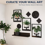Wall art display with plants and decorative items on a white wall.