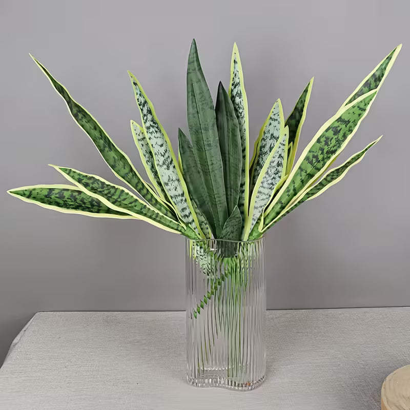 Clear glass vase with snake plant on a gray surface against a gray background