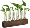 EcoGrow Plant Propagation Station Green Thumb Haven