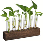 EcoGrow Plant Propagation Station Green Thumb Haven