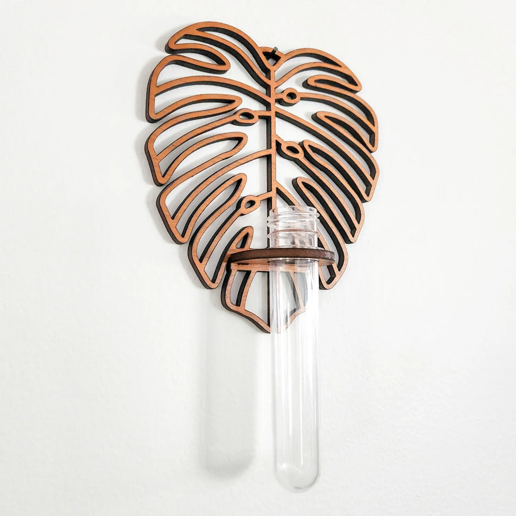 Monstera Wall Propagation Station Green Thumb Haven