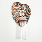 Monstera Wall Propagation Station Green Thumb Haven