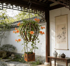 A hanging spherical planter with orange flowers and trailing green vines suspended in a traditional courtyard setting.