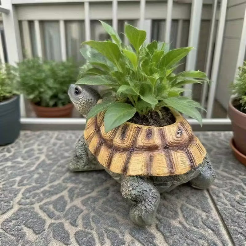 Tortoise-shaped planter with a plant on a patio