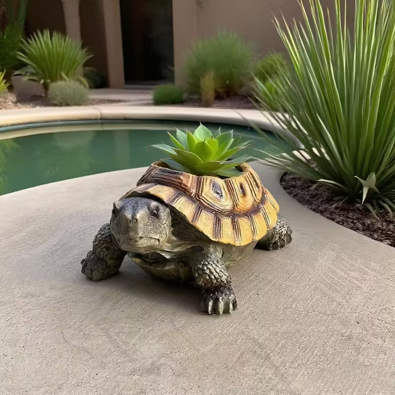 Tortoise with a succulent on its back in a garden setting