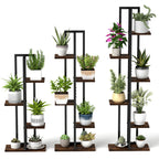 Multi-tiered plant stand with various potted plants on a white background