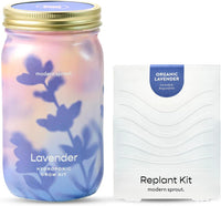 Lavender 1pk - Replant Kit
