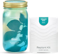 Basil 1pk - Replant Kit