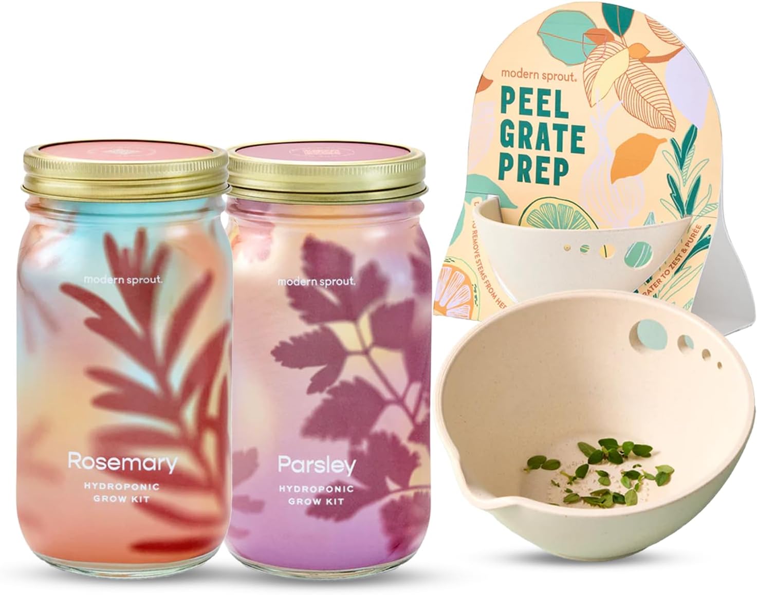 Garden Jars - Organic Herbs Modern Sprout