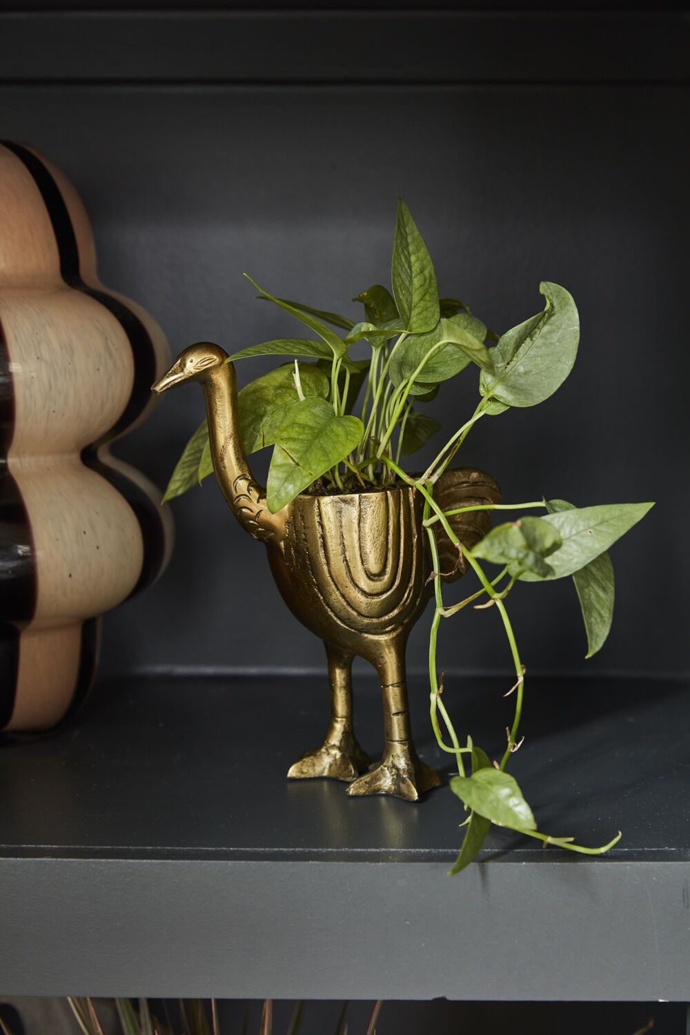 Gold ostrich planter with a plant on a dark surface