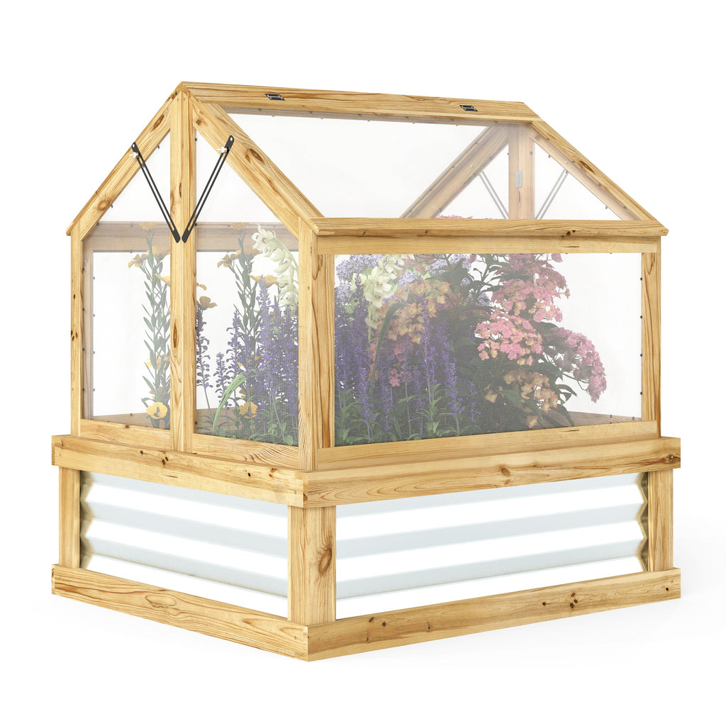 Wooden greenhouse with transparent roof and sides, containing plants on a white background
