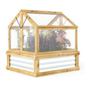 Wooden greenhouse with transparent roof and sides, containing plants on a white background