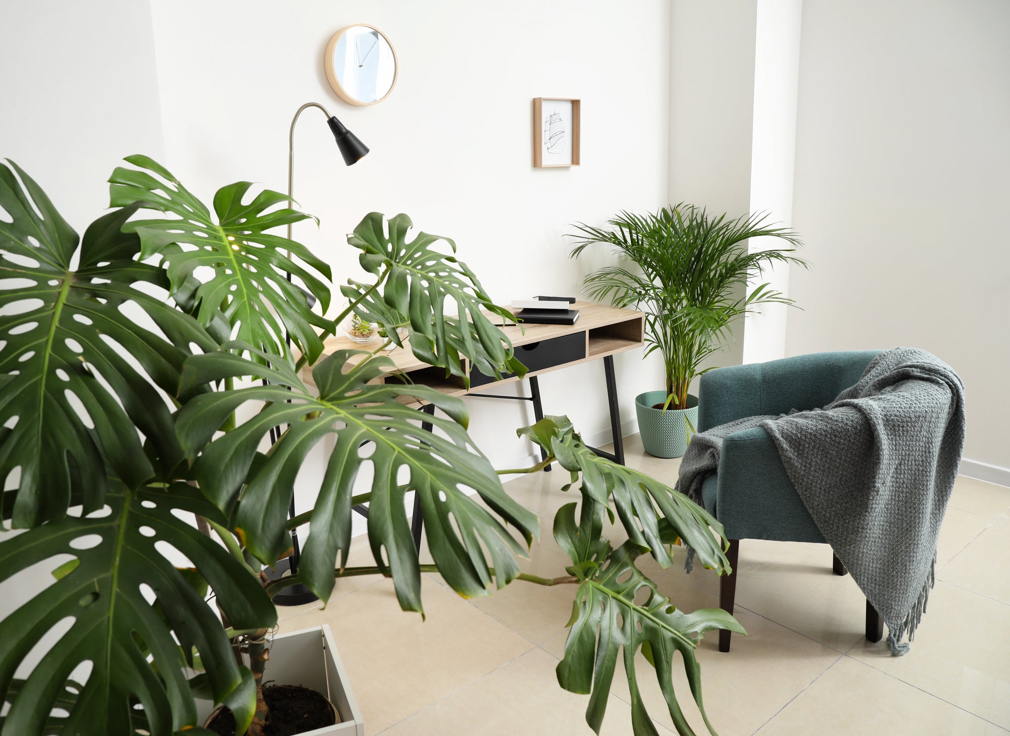 Modern living room with green plants, a desk, and a chair.