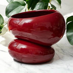 Fondra Self Watering Planter