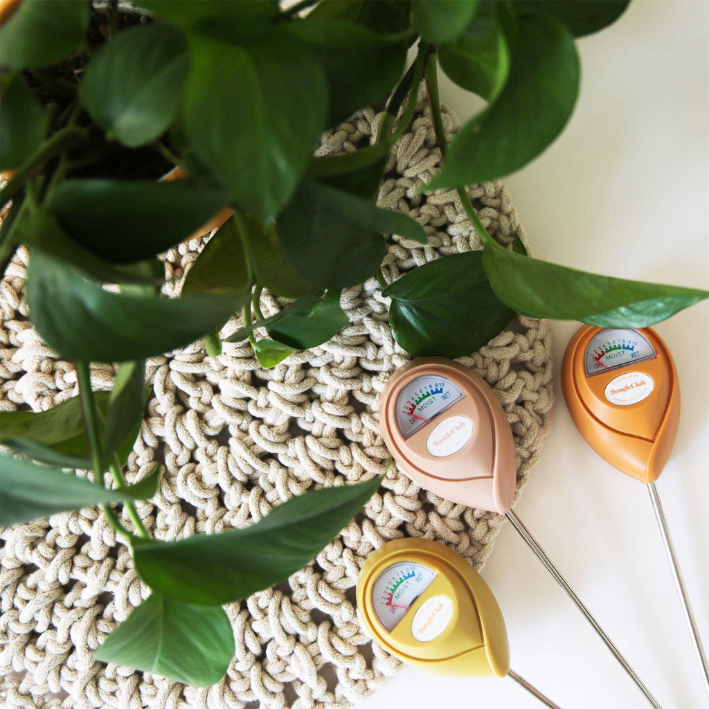 Moisture Meter | Green Jungle Club