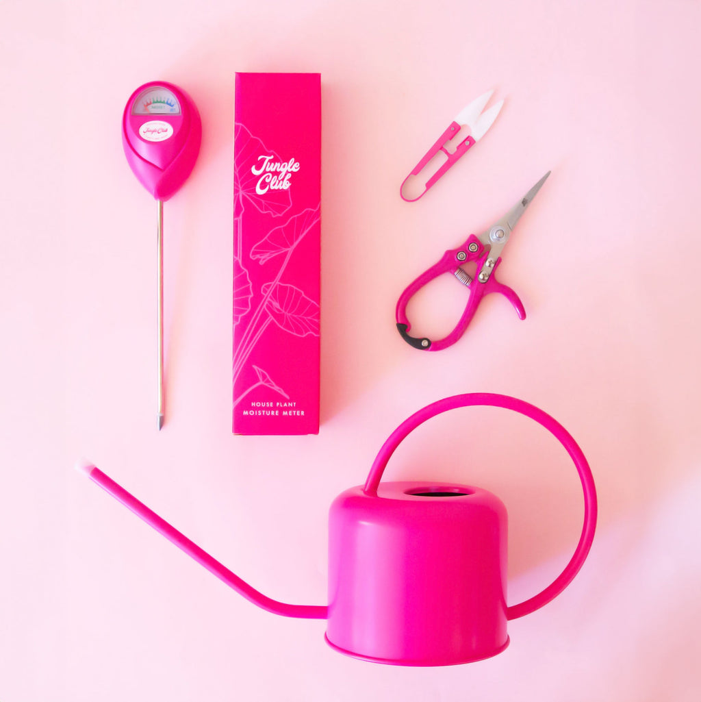 Pink gardening tools including a watering can, scissors, and a box on a pink background