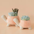 Turtle Ceramic Planter | Sunset Jungle Club