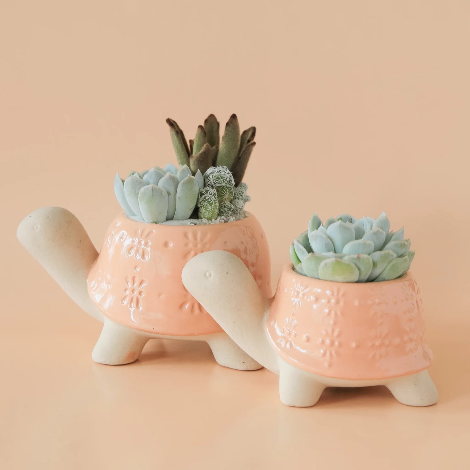 Turtle Ceramic Planter | Sunset