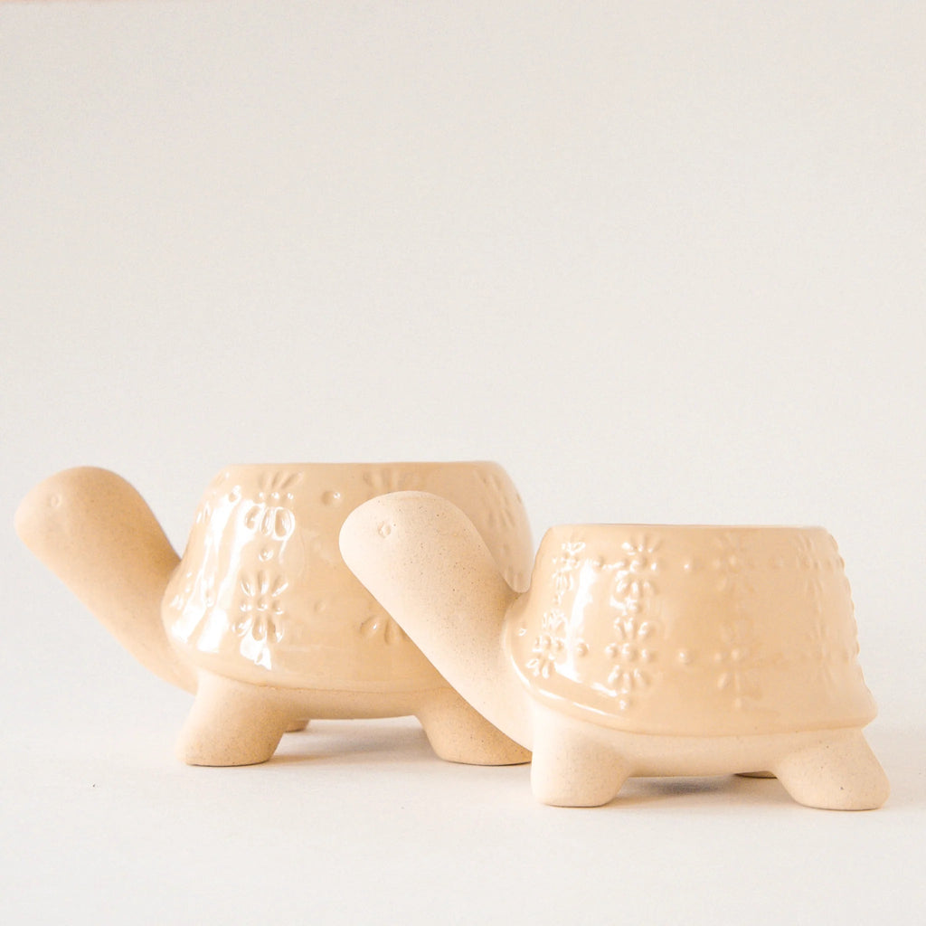 Turtle Planter | Sand Jungle Club