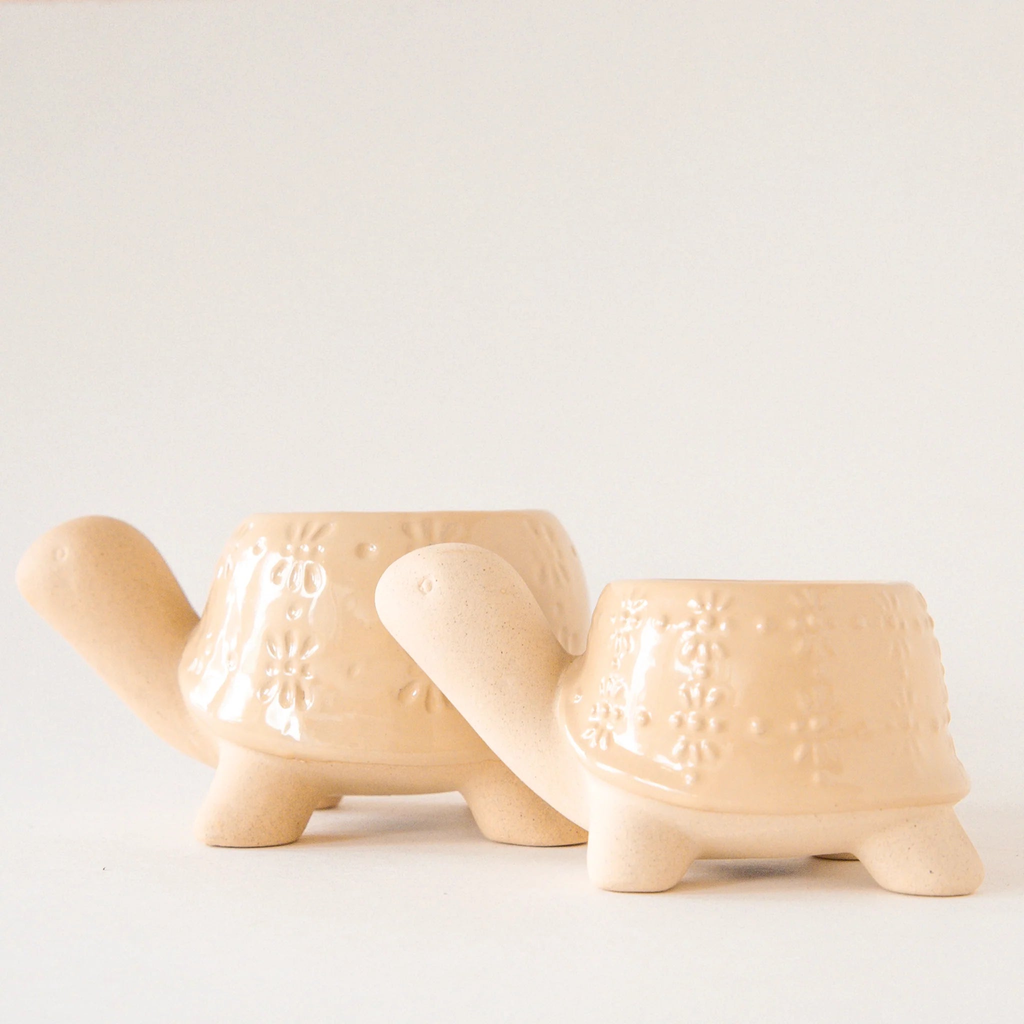 Turtle Planter | Sand Jungle Club