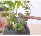 Metal Watering Can