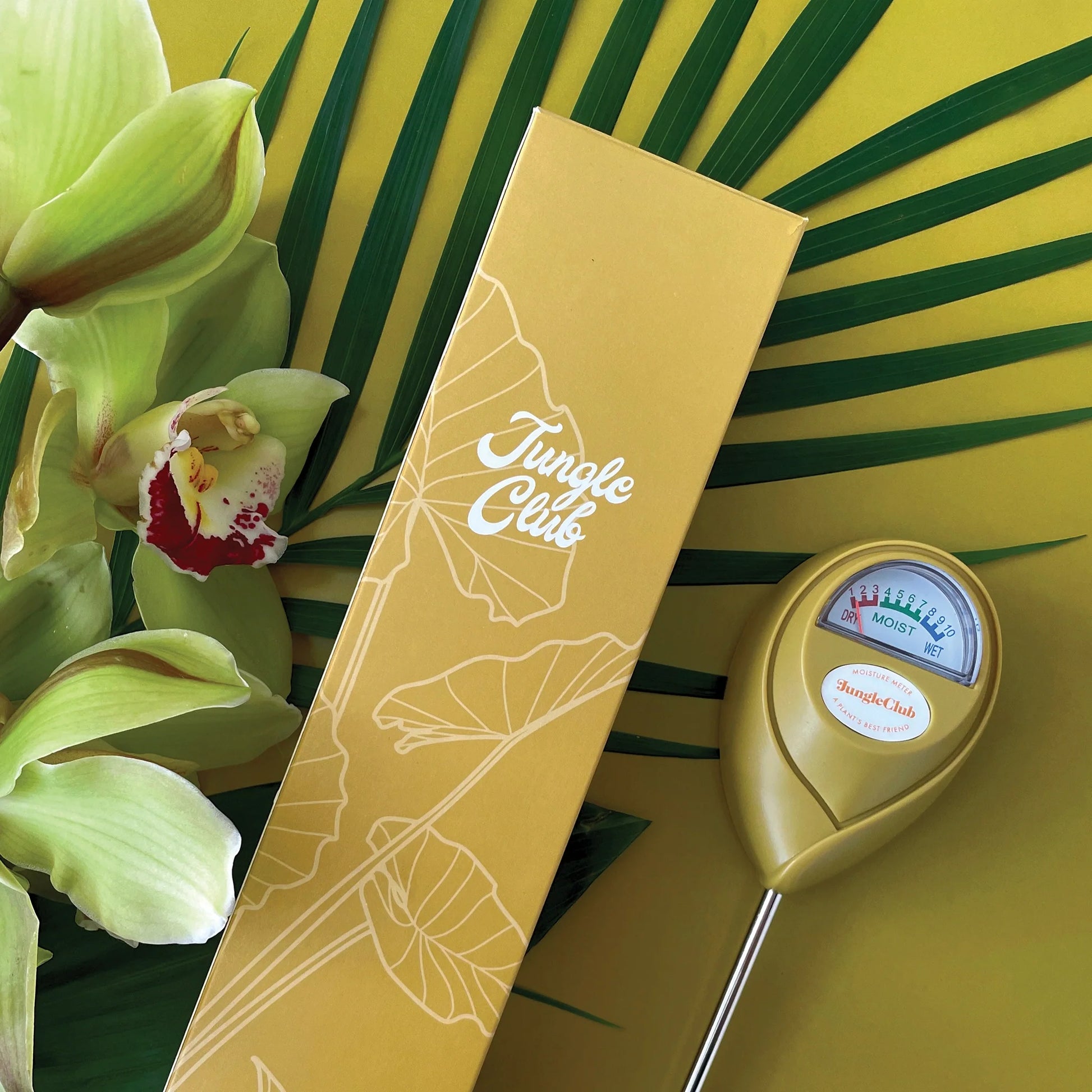 Moisture Meter | Green