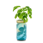 Garden Jars - Organic Herbs Modern Sprout