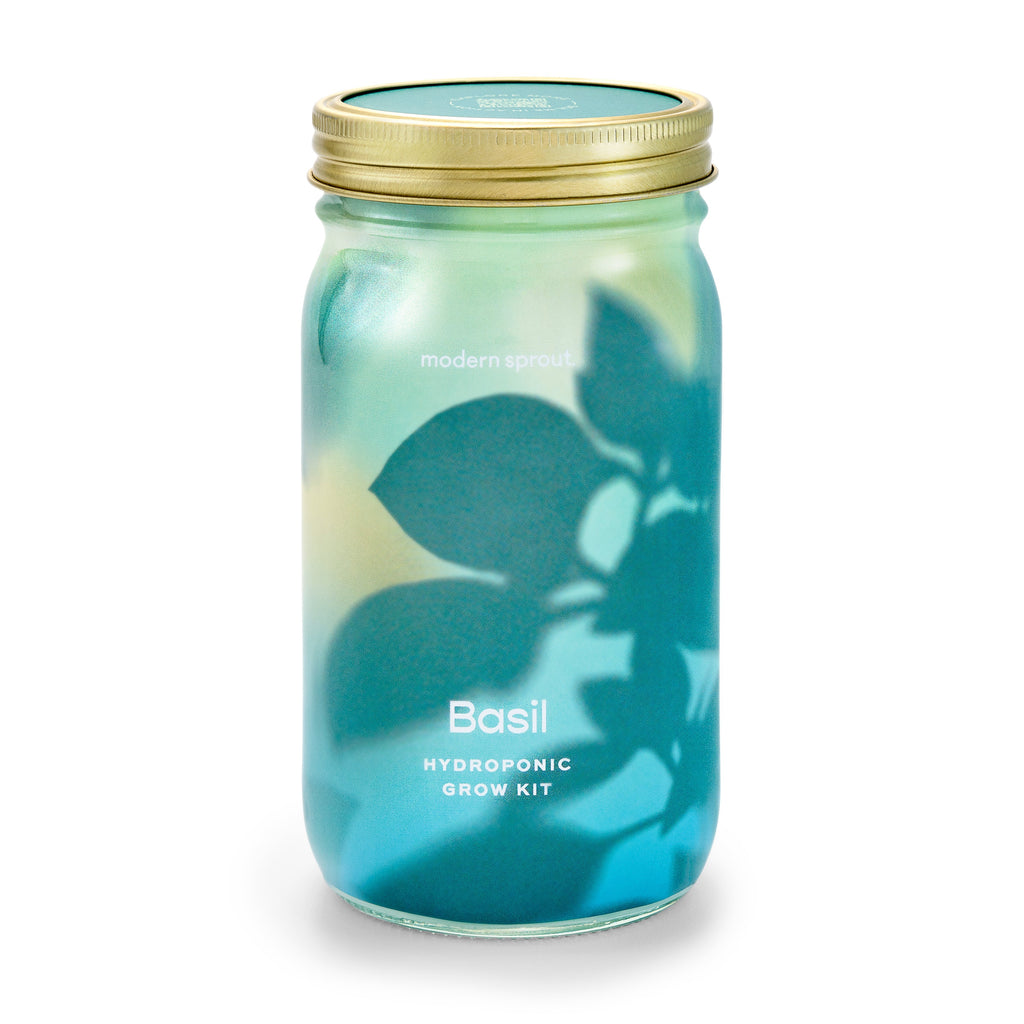 Garden Jars - Organic Herbs Modern Sprout