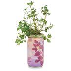 Garden Jars - Organic Herbs Modern Sprout