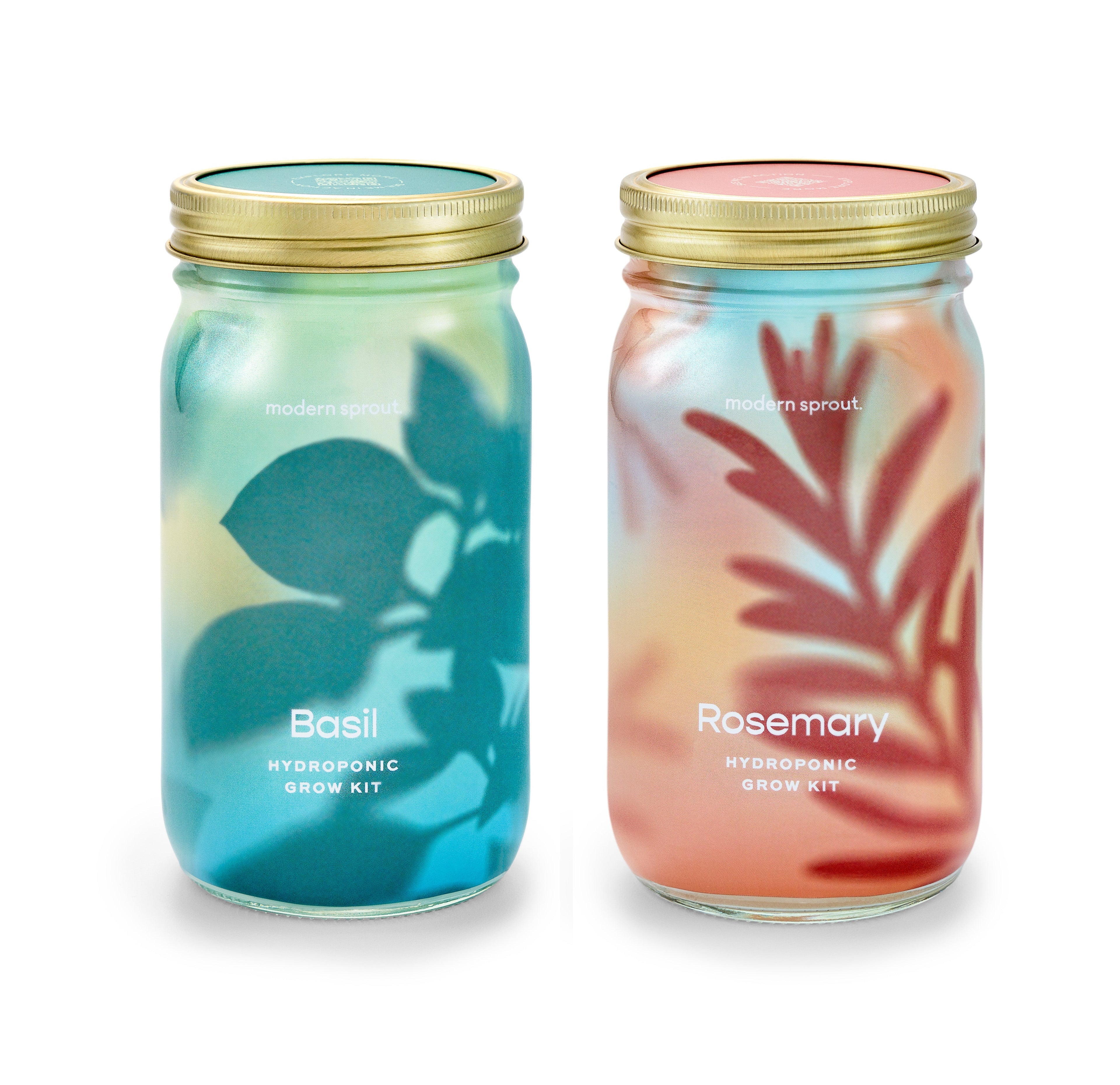 Garden Jars - Organic Herbs Modern Sprout