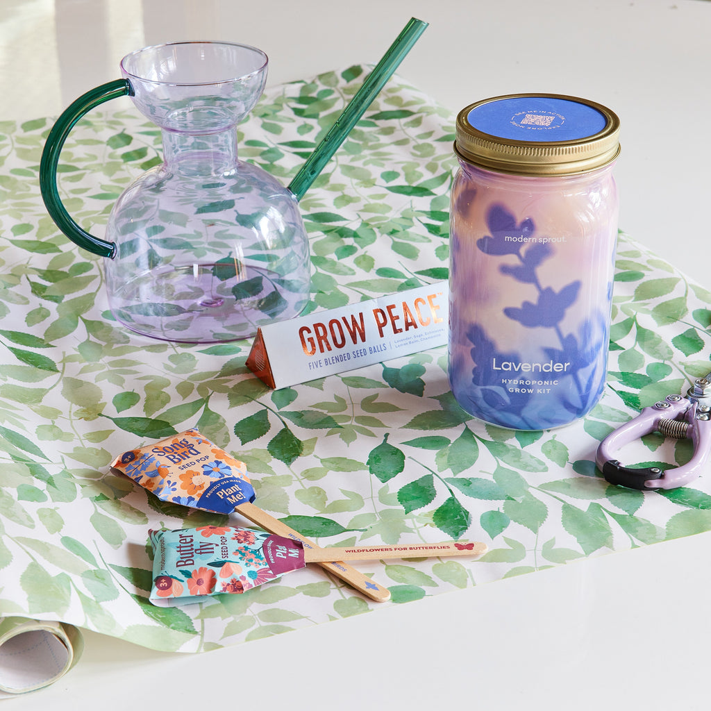 Garden Jars - Organic Herbs Modern Sprout