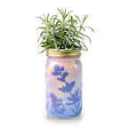 Garden Jars - Organic Herbs Modern Sprout
