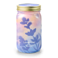 Garden Jars - Organic Herbs Modern Sprout