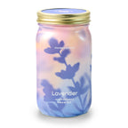 Garden Jars - Organic Herbs Modern Sprout