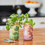 Garden Jars - Organic Herbs Modern Sprout