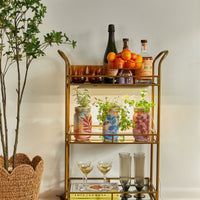 Basil+Rosemary+Parsley 3pk - Growbar