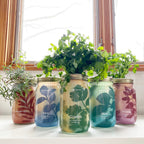 Garden Jars - Organic Herbs Modern Sprout