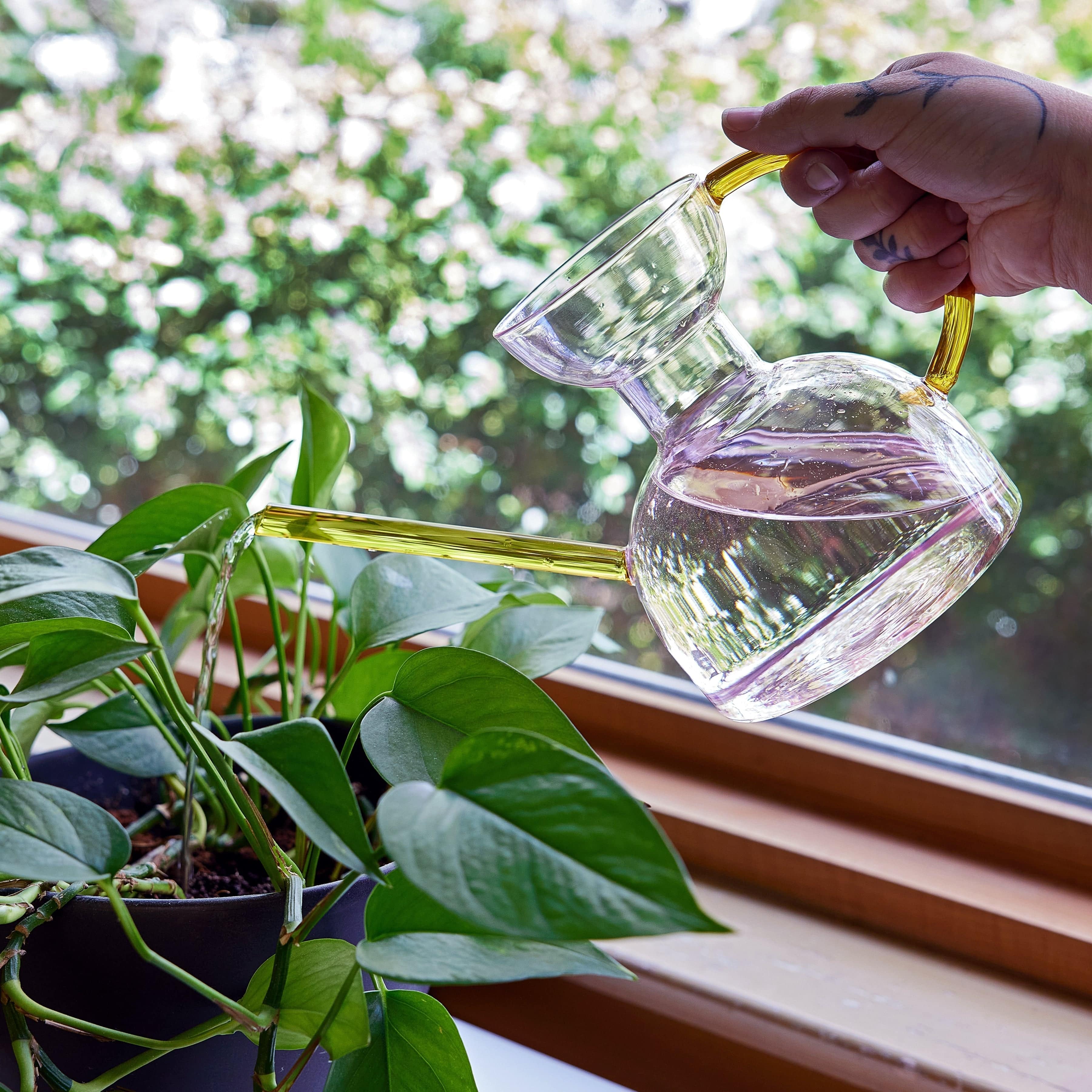 Person watering a plant with a clear glass watering can near a window with greenery outside.