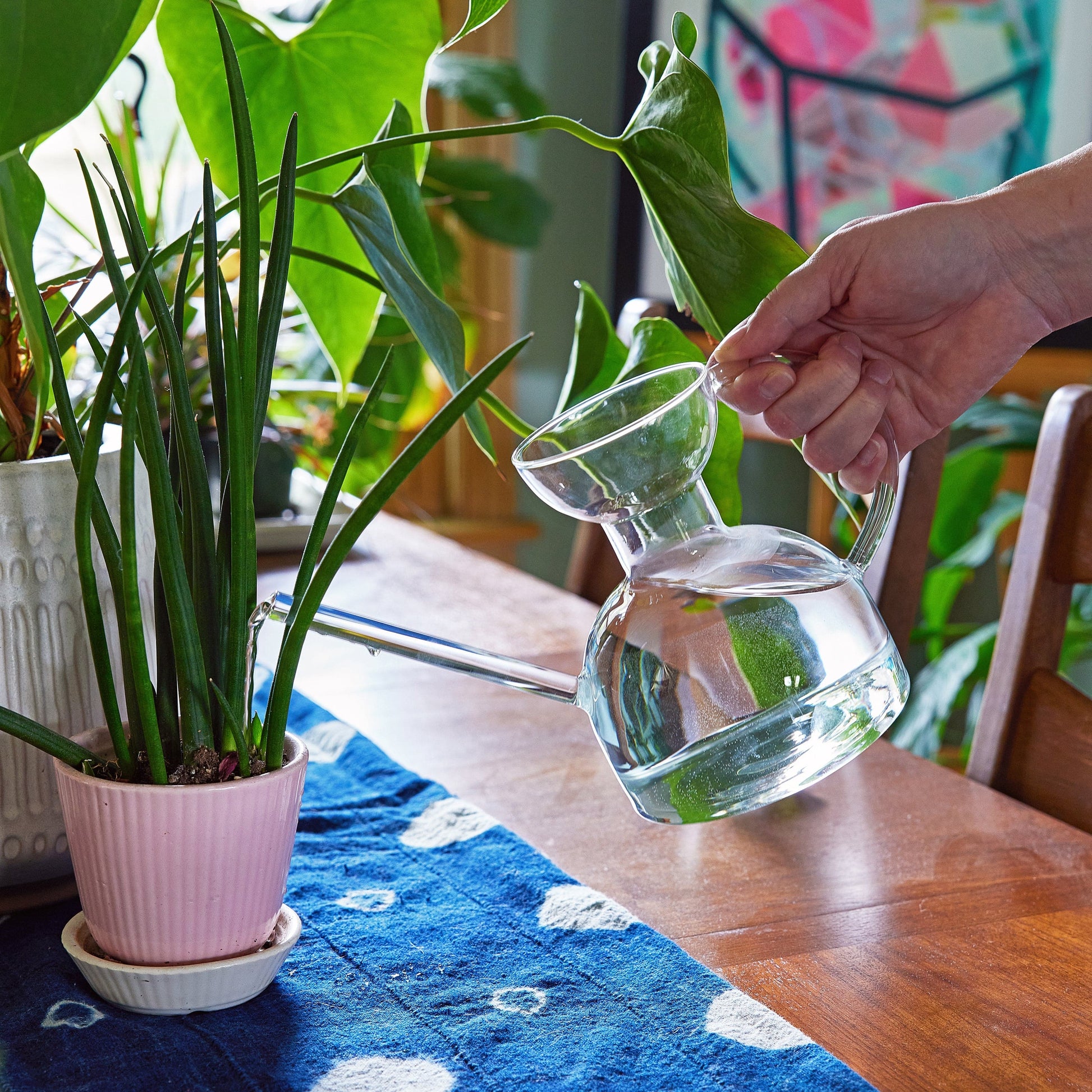 Plant Watering Can – Handcrafted Borosilicate | Modern Plant Care