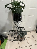 Metal Plant Stand
